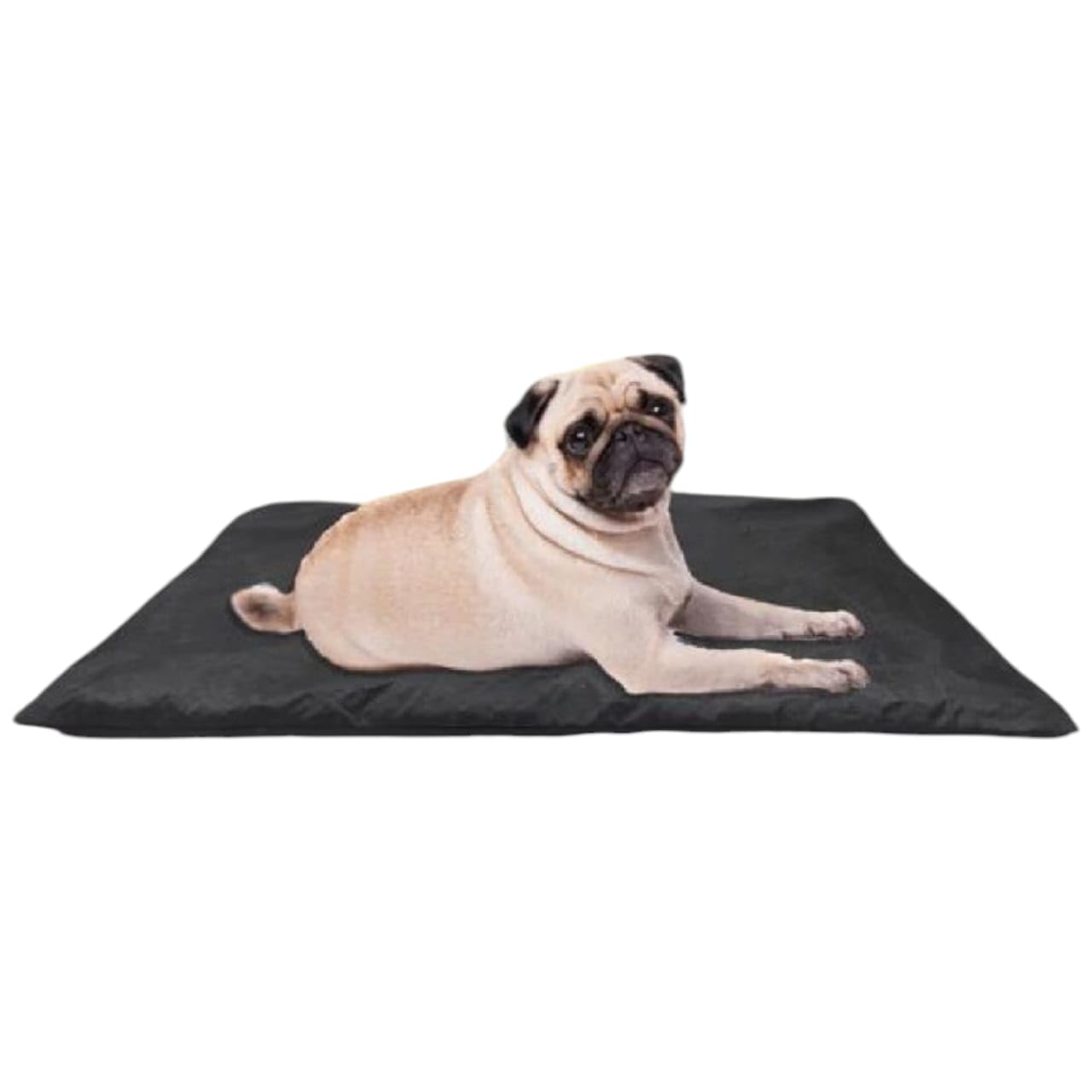 TAils Of Joy Paw Fects Rectangular Bed for Dog & Cat, Washable Pet Bed, Light Weighted, 85cm X 55 Cm (Black)