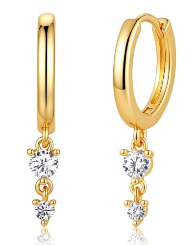 Moissanite Earrings for women Moissanite Hoop Earrings with D Color VVS1