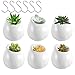 Wall Plant Holder, ZOUTOG 5...