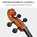 4/4 Full Size Cello Set,Professional Handmade Solid Wood Acoustic Cello,Solid Wood Cello Kit,with Portable Bag,Bow,Rosin,Musical Instrument for Beginners & Adults (Retro)