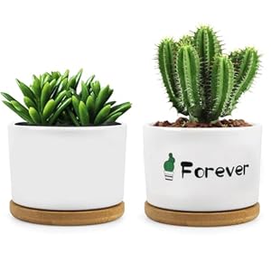 Planters for Indoor Plants Pots 2 Pack 32 Inch Mini Cute Succulent Pots Ceramic with Drainage Holes Bamboo Tray for House Plants Indoor Outdoor Garden Plants Not Included