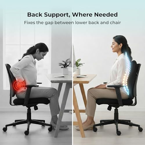 Image of Back Support for Office Chair | 5-Yr-Warranty | Premium Memory Foam Lumbar Support Pillow | Orthopedic Backrest for Lower Back Pain Relief | Ergonomic Desk Chair & Car Cushion (Large)(Black)