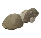 Cardiaster granulosus + echinocorys scutata Sea-Urchin Fossil (Fósiles) OU89