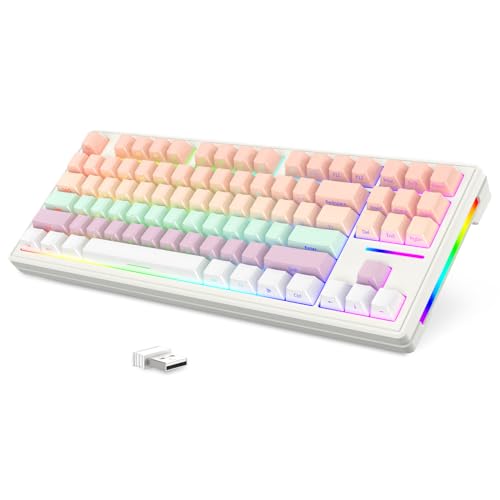 MAMBASNAKE x ATTACK SHARK M87 JjJQ[~OL[{[h RpNg 80% 87L[ PBTX^CL[Lbv 3ڑ[h Bluetooth5.0/2.4Ghz/Type-C A`S[Xg JX^ʎ 