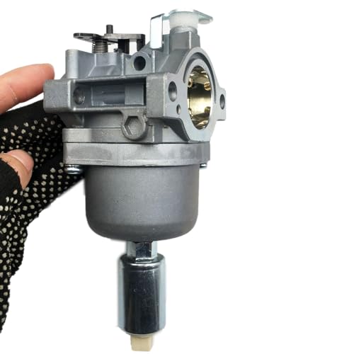 LIZAPUS Carburetor Kit - Close up