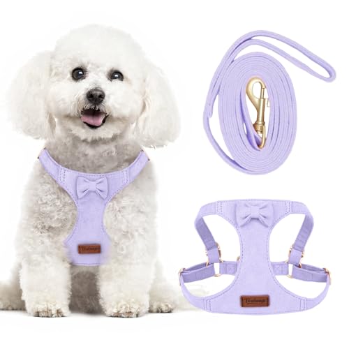 Tewiwap No Pull Small Dog Harness and Leash Set, Adjustable Puppy Harness for Extra Small XS XXS Girl Dogs, Soft Suede No Choke and Escape Proof Pet Harness Vest Leash for Puppy Cat (Purple XS)