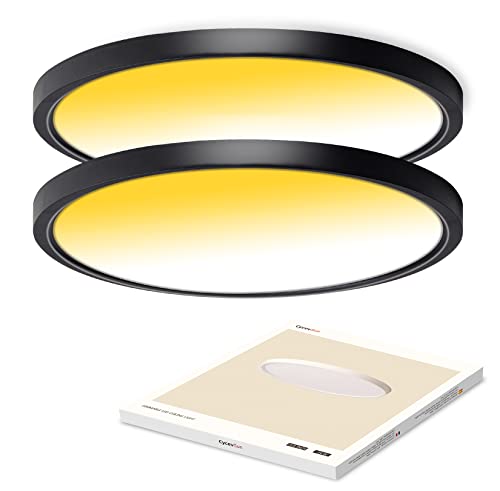 CycevSun12 Inch Black Ceiling Light Fixture LED Flush Mount - Dimmable & 3000K-4000K-5000K 3 Color Selectable - 20W Bright 2000LM, for Hallway Porch Kitchen - 2 Pack CycevSun12 Inch Black Ceiling Light Fixture LED Flush Mount - Dimmable & 3000K-4000K-5000K 3 Color Selectable - 20W Bright 2000LM, for Hallway Porch Kitchen - 2 Pack