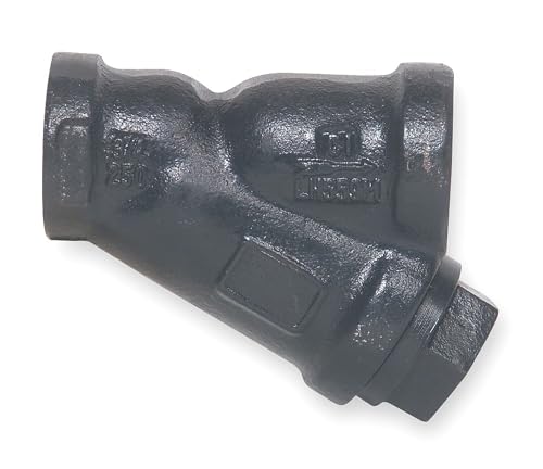 Y Strainer,Alloy 20,1/2