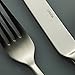 Oneida Mooncrest 20-Piece Flatware Set, Service for 4, Silver