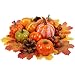 winemana Thanksgiving Fall Decorations for Home-6pcs Mini Pumpkins & 2pcs Gourds, 30pcs Leaves & 10pcs Acorns, 2pcs Pinecones Centerpiece Set-Harvest Decor for Table Mantel (Largest: 4.5