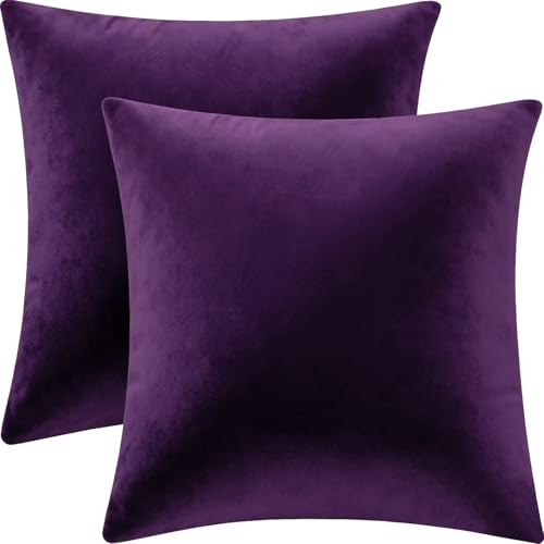 Bunliuys 2 Pack 18x18 Pillow Cover Velvet Pillow Covers, Throw Pillow Covers for...