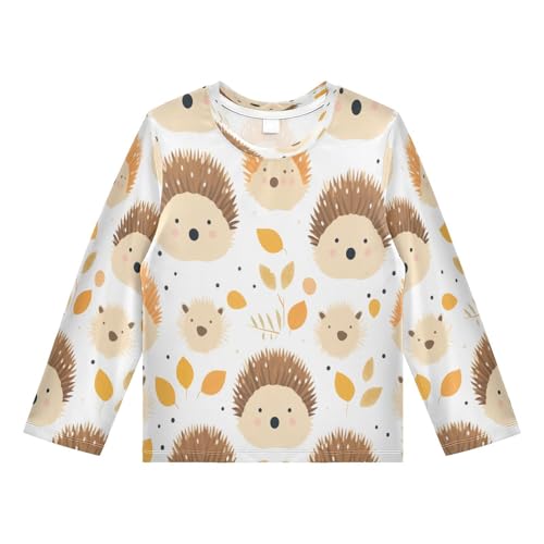 Boys Rash Guard Swim Shirt Long Sleeve UPF+ 50 Sun Shirts Quick Dry Shirt Hedgehog One for Toddler Kids Multi