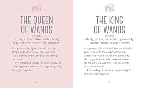 image for Orange Hippo! The Little Book of Tarot: An Introduction to Everything 