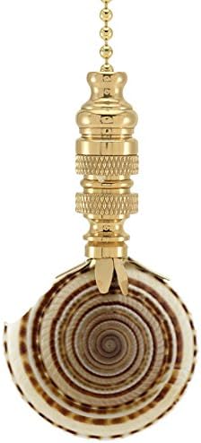 Sun Dial Sea Shell Ceiling Fan Pull, 3"h with 12" Polished Brass Chain