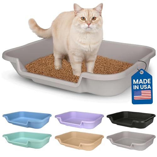 KittyGoHere Senior Cat Litter Box 1 Pack, Large Misty Gray Low Entrance Kitty Litter Box, Sized for...