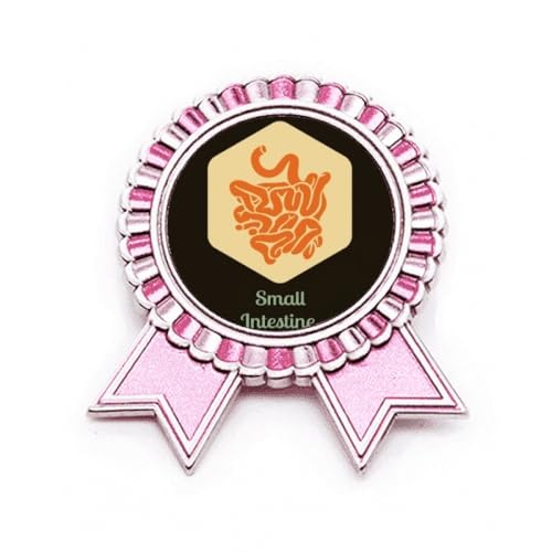 Broche petit intestin rose pour personnaliser une veste en métal