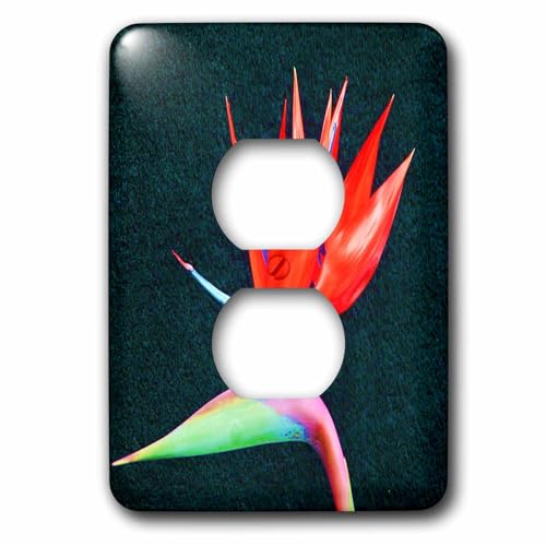Cache-prise pour double ouverture murale motif oiseau tropical - 2