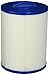 Pleatco PWW50P4 Replacement Cartridge for Waterway Front Access Skimmer, 1 Cartridge
