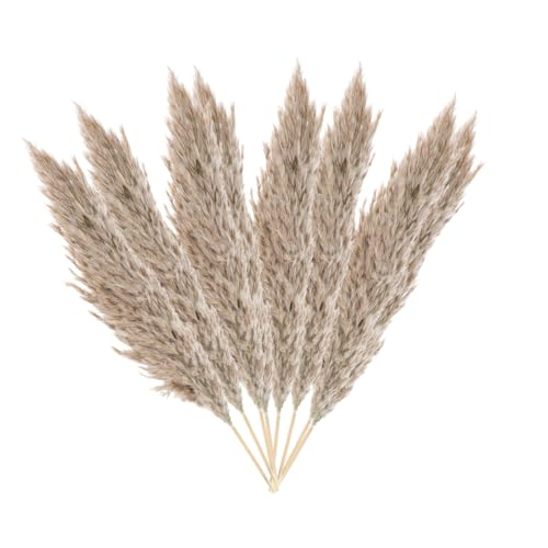 Natural Reed Bouquet Ramo de Flores Secas 15 piezas Decoración miniatura 7