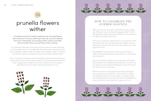 Microseasons: A Slow-Living Guide to the Year Following the Traditional Japanese Calendar - Image 14