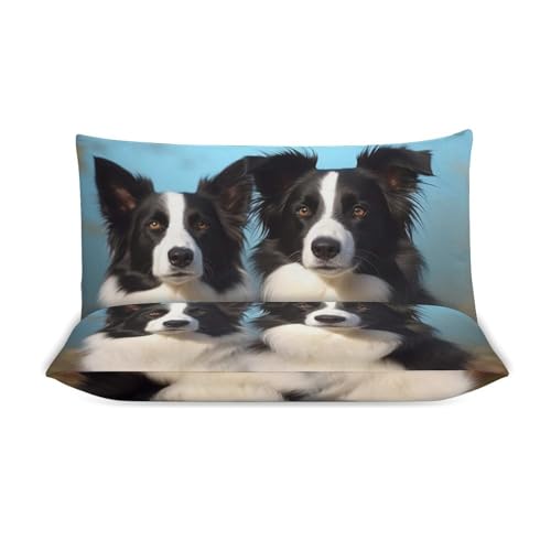Housse de couette Border Collie anti-transpiration pour grand lit 3 pièces