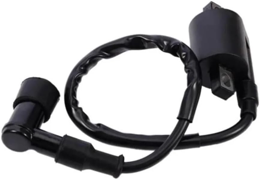 Igniter CDI Unit Box 1Pcs Ignition Coil 12V Use With CDI For RM 60 65 80 85 100 125 250 RMX 450 Motorcycle
