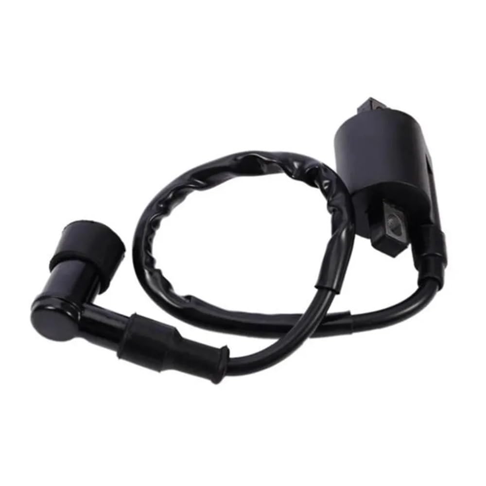 Igniter CDI Unit Box 1Pcs Ignition Coil 12V Use With CDI For RM 60 65 80 85 100 125 250 RMX 450 Motorcycle