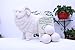 FHQSX Wool Dryer Balls Organic XL 6-Pack, Reusable Natural Fabric Softener, Reduces Wrinkles,Dryer Sheets Alternative