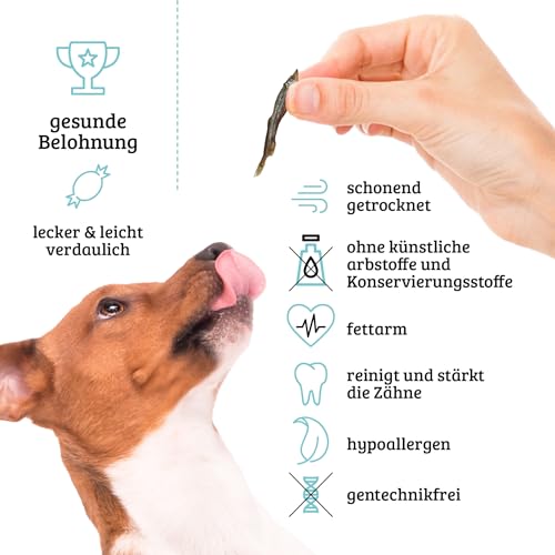 UGF - Trockenfisch für Hunde, Hunde Leckerlis - 80g im 500 Milliliter Eimer, Hundeleckerli Getreidefrei, Getrockneter Fisch, Hypoallergen, Diätetisch, Trainingsleckerli, Kauartikel