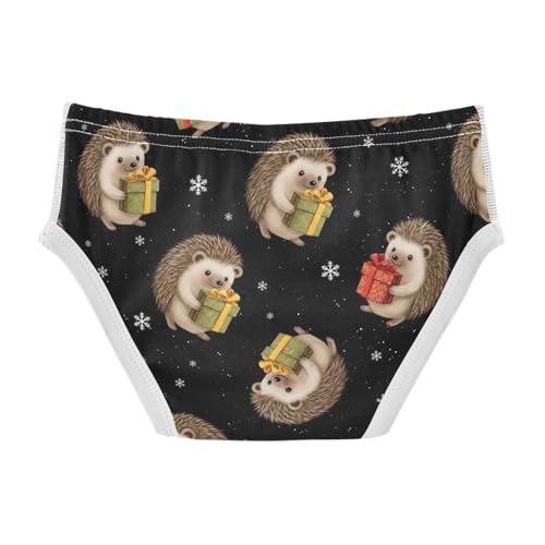 CHIFIGNO Boy Briefs Cotton Underwear Printed Breathable Toddler Boy Underwear Briefs, Cute Hedgehog Black2