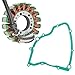 Caltric Stator and Gasket Compatible With Suzuki Lt-F160 Ltf160 Quadrunner 160 2X4 1991 1992-2001