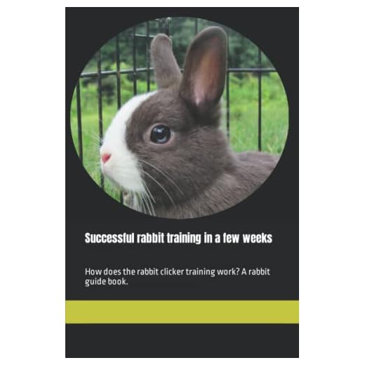 Guide to Training Your Rabbit