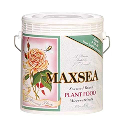 Bloom Plant Food 3-20-20 - 6 lb miniatura 2