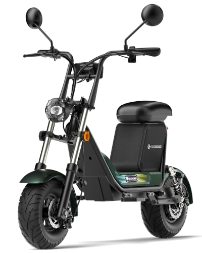 ECOROAD CT1 Retro Fat Tire E-Scooter