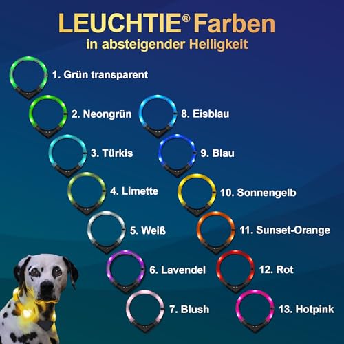 LEUCHTIE® Easy Charge Leuchthalsband Hund aufladbar, wasserdichtes LED Halsband, Leuchtband für Hunde 25 h Leuchtdauer, extrem hell, grün Größe 47,5