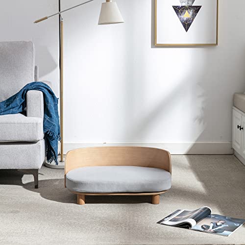 pJE`A26C` 􂦂O\Ȍpxbh Cނ̋rƋȂؐ̔wA^ƔLp̃xxbgNbVtp\t@