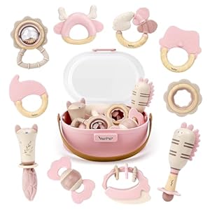 Baby Toys 0-6 Months, Baby Rattles, Teething Toys 3-6 Months, Infant Toys 6-12 Months, 10PCS Pink Sensory Rattles & Teethers with Storage Box, Newborn Shower Gift Girl