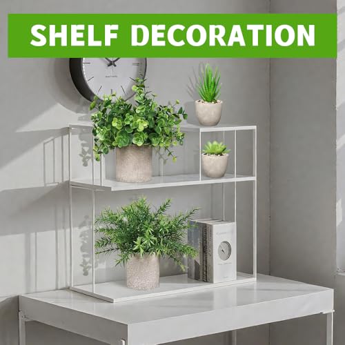 4 Set Artificial Plants Indoors in Pots, Small Plastic Fake Plants, Eucalyptus, Rosemary, Mini Succulents Faux Plant for Office Decor, Desk, Bedroom, Bathroom, Kitchen, Home Decoration in Christmas. - Cosy Home Interiors 4 Set Artificial Plants Indoors in Pots, Small Plastic Fake Plants, Eucalyptus, Rosemary, Mini Succulents Faux Plant for Office Decor, Desk, Bedroom, Bathroom, Kitchen, Home Decoration in Christmas. - Image 6