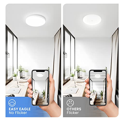 EASY EAGLE Lampada da Soffitto LED 36W 6500K