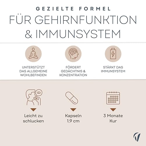 Lions Mane 2000 mg – Bio Hericium Erinaceus Extrakt 30:1 Mit +40% Beta Glucan – 180 Kapseln Löwenmähne (3 Monate) – Mit Bio-Schwarzem Pfeffer – Laborgeprüft – Vitavea