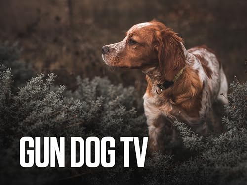 Gun Dog TV