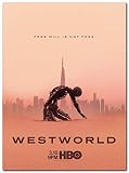 Westworld Tv Series Poster (13 x 19 inch / 33 x 48 cm) unframed, Display Ready Photo Print