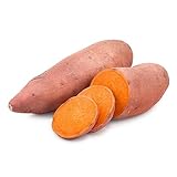 400 piezas de semillas de plantas de batata - semillas de hortalizas productos sostenibles techo verde balcón semillas de hortalizas techo verde semillas orgánicas semillas de hortalizas