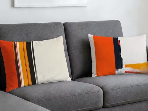 Coussin couleur en velours de style nordique chic O-358LQ - 2