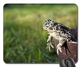 Gaming Mauspad Tier Frosch Kröte Amphibien Natur Mauspads Leichtes Gleiten Schreibtischunterlage Tragbar Tischunterlage Für Büroarbeiten Homeoffice Computer 25X30Cm