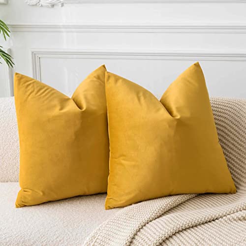 JUSPURBET Gold Velvet Throw Pillow Covers 22x22 inch Set of 2 for Living Room Couch Bedroom Decorative Luxury Soft Cushion Cases with Invisible Zipper