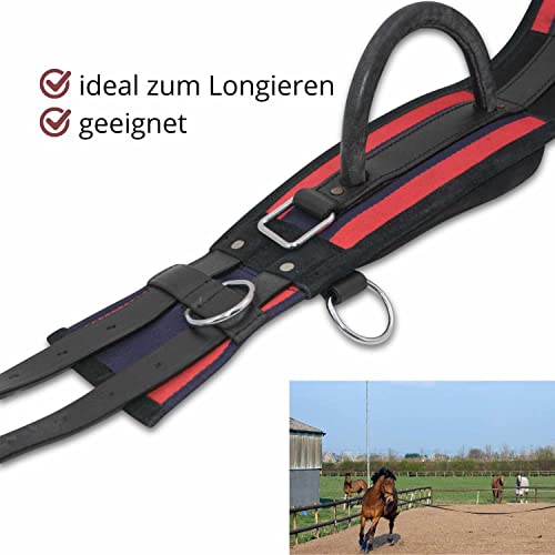 Foto von AMKA Reitgurt Longiergurt Doppio mit 2 Handgriffen 6 Ringe Reithilfe