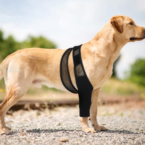 HYTROVE Hundebeinstütze Aus Neopren Elastischer Beinschutz Für Vorder- Und Hinterbeine Atmungsaktiv Gelenkschutz Und Knochenschutz Für Hunde Nach Operation 13.39X11.42X0.79In Schwarz XL