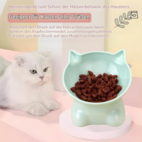 Katzennapf Erhöht Fressnapf Katze mit 15° Neigung Design,Futternapf Katze,Katzenfutternapf für Futter und Wasser,perfekt für Haustiere Katzen und Welpen (Grau, Einfarbig)