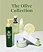 DHC Olive Concentrated Cleansing Oil, 5 Ounces, Pack of 1